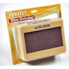 Fender 0234811000 Mini 57 Twin Amp